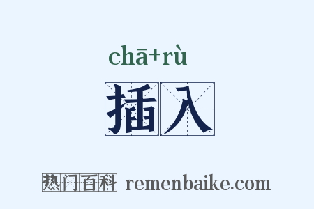 插入是什么意思的图片